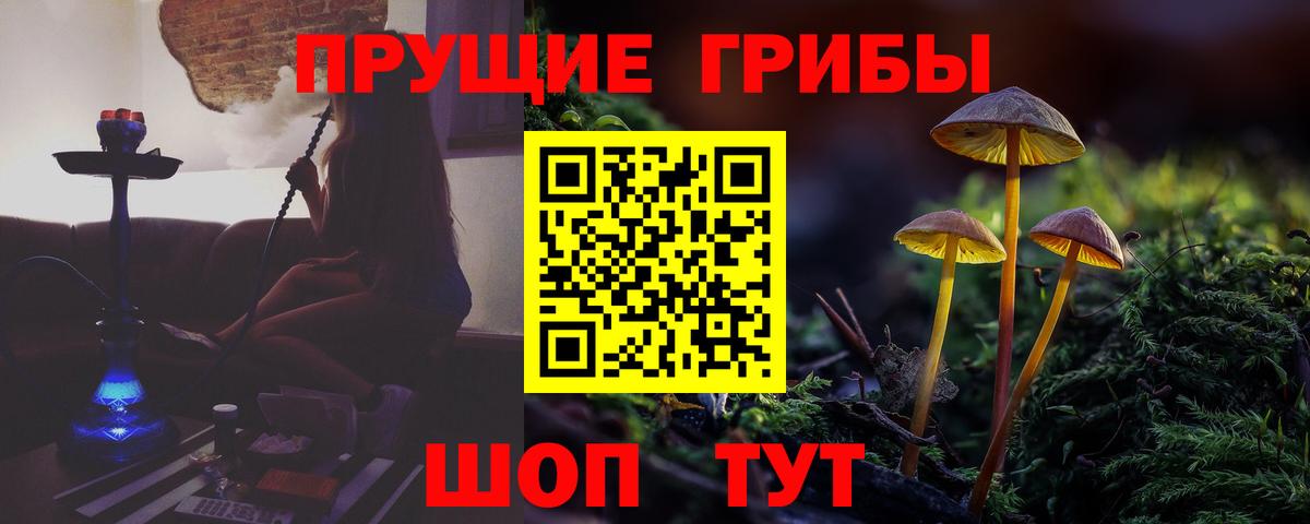 Галлюциногенные грибы ЛСД Фролово
