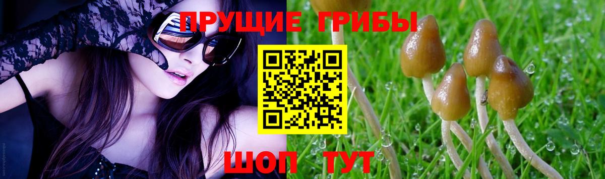 Галлюциногенные грибы GOLDEN TEACHER  Вход с VPN  Фролово 